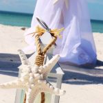 Seashells and Wedding Bells | Beach Wedding Packages