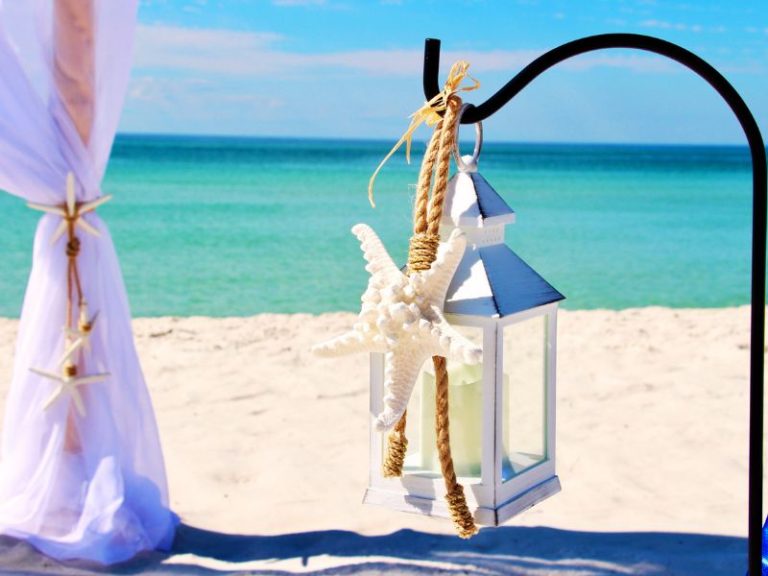 Seashells and Wedding Bells | Beach Wedding Packages