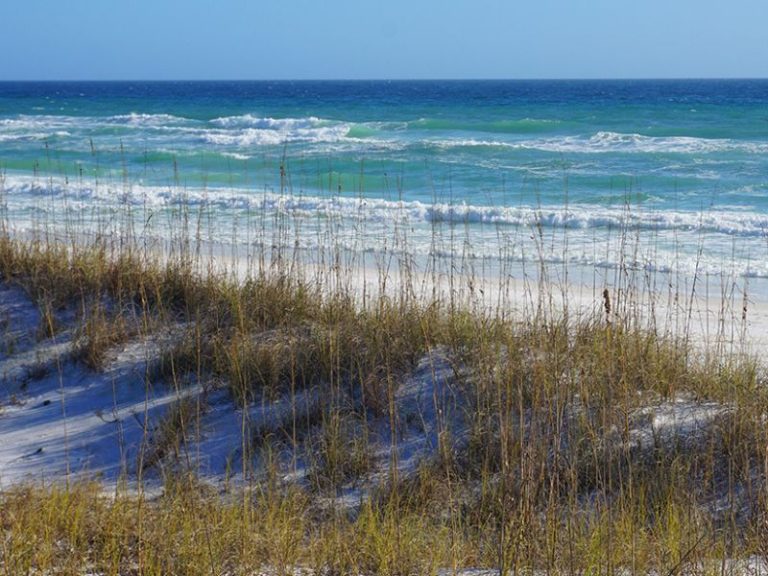 Just the 2 Of Us | Beach Elopement Package